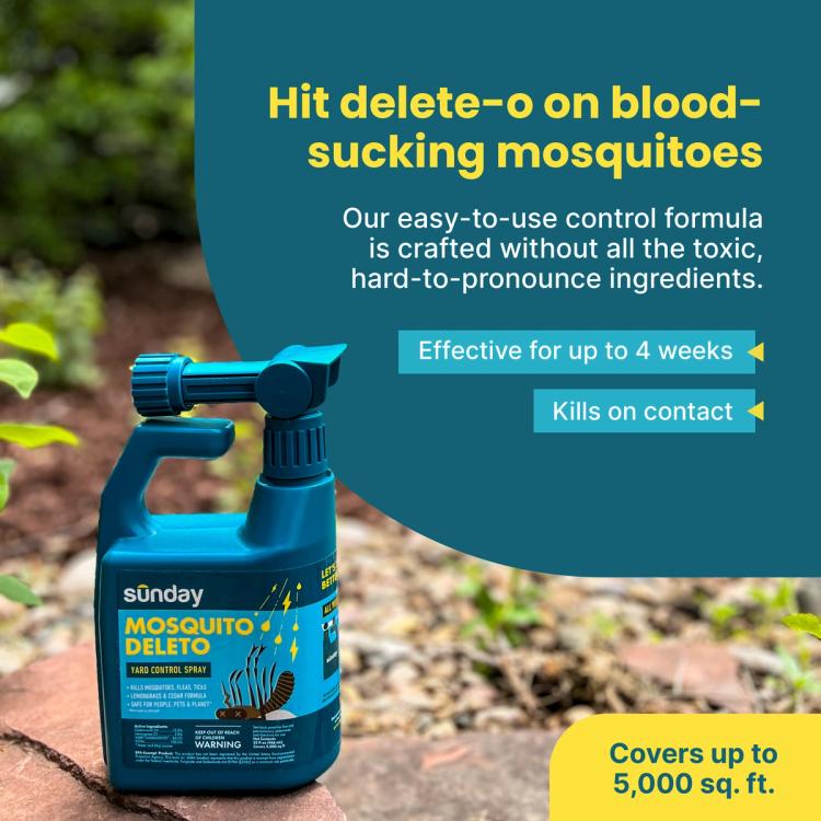 Infographic on mosquito deleto