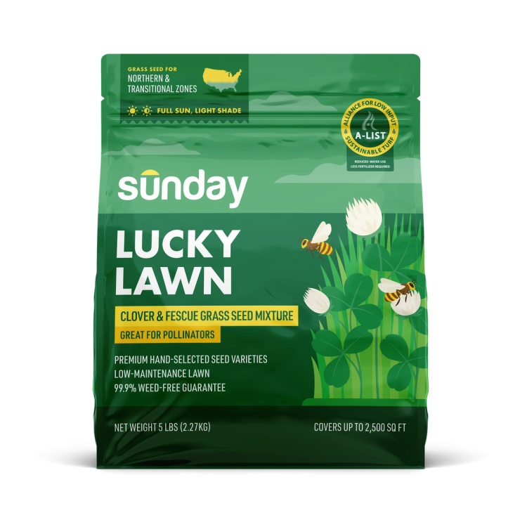 Bag of Sunday Lucky Lawn, a mix of fescue, bluegrass, and clover seed