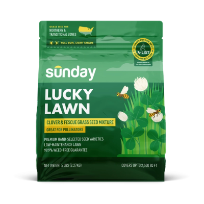 Bag of Sunday Lucky Lawn, a mix of fescue, bluegrass, and clover seed