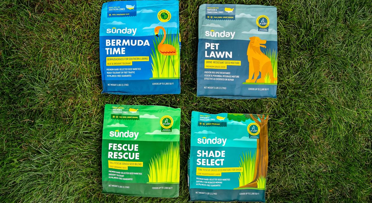 Sunday Grass Seed Products on lawn