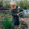 A toddler pouring water on a garden