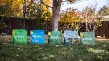 Sunday cool-season grass seed blends including fescue, clover, pet lawn, and shade select for fall lawn care for cool-season grasses.