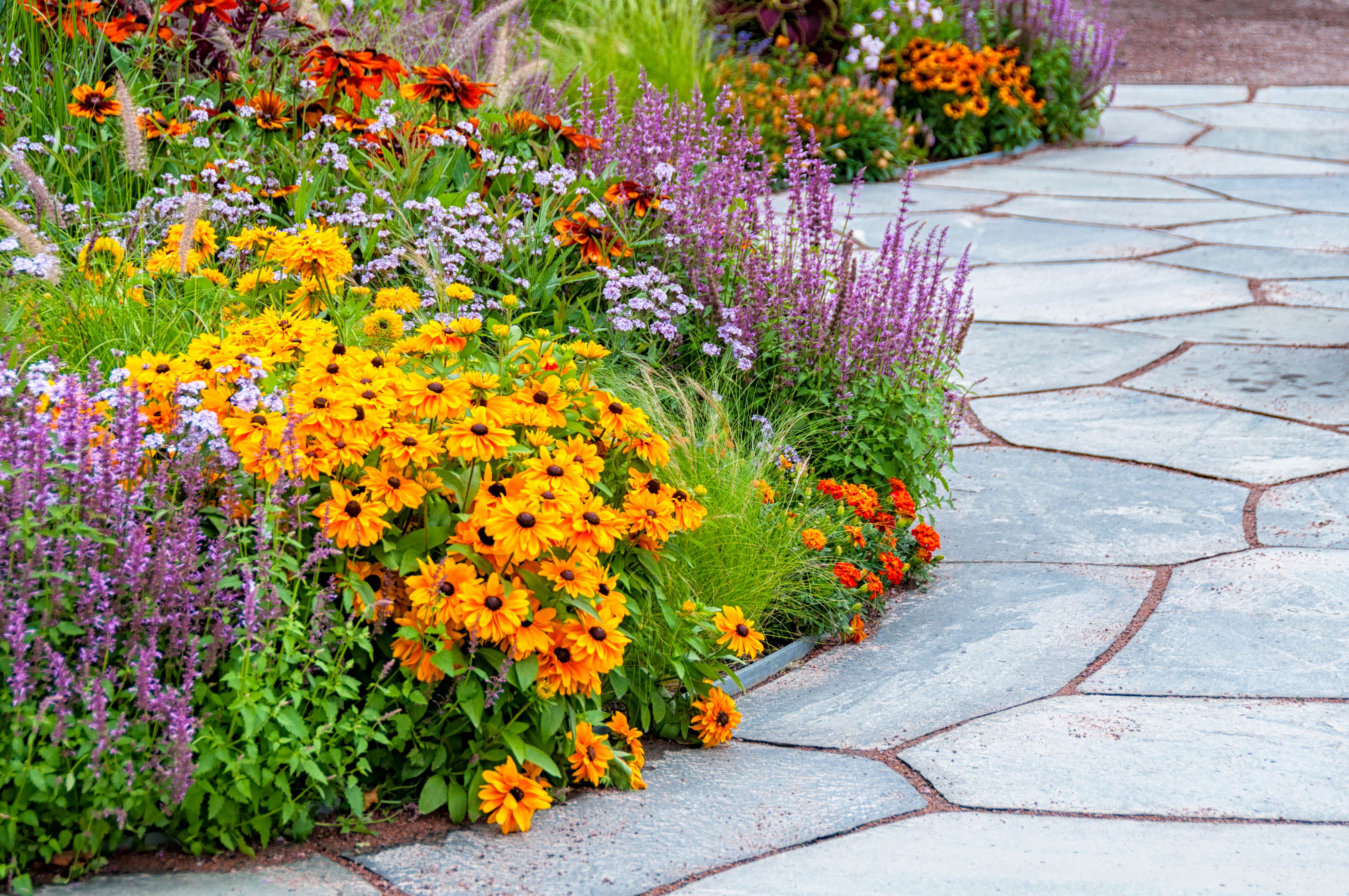 A beautiful perennial garden