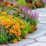 A beautiful perennial garden