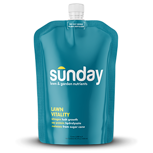 Fescue Grass Patch Kit Sunday Lawn Care