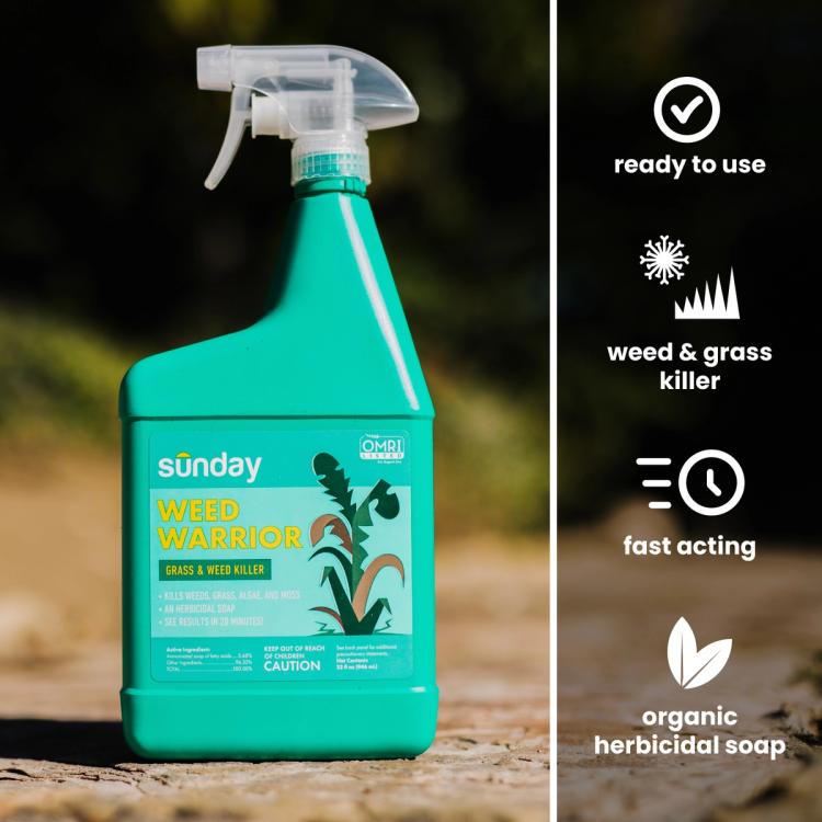 Sunday Weed Warrior weed killer details