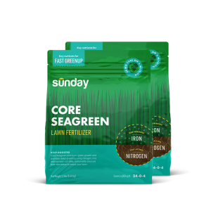 Core Seagreen Granular Lawn Fertilizer