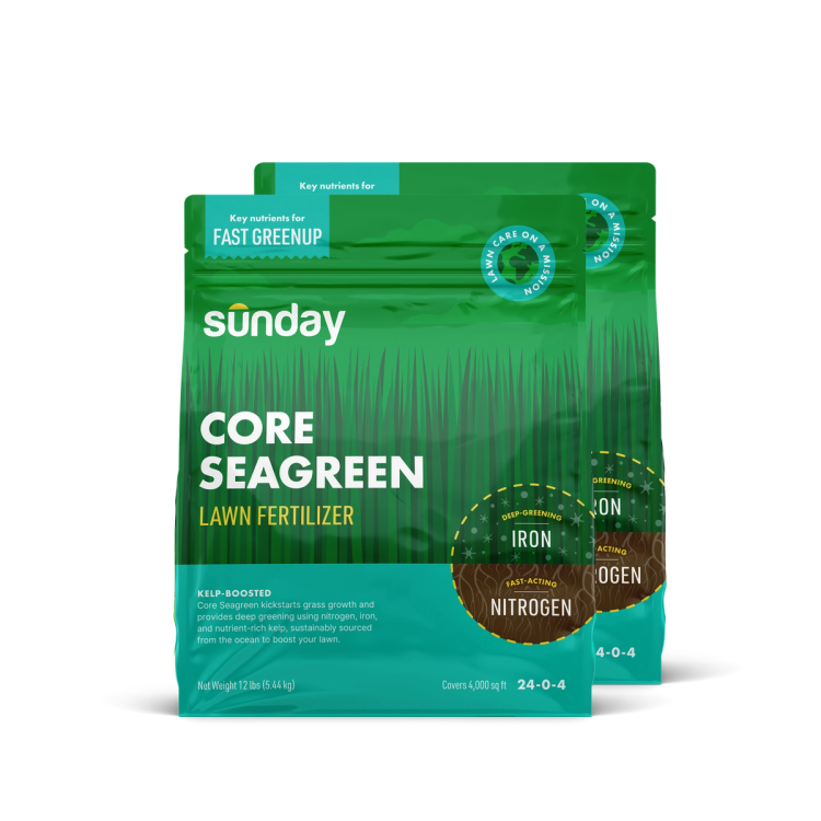 Core Seagreen Granular Lawn Fertilizer