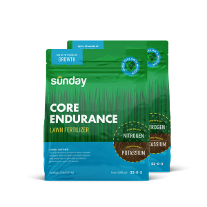 Core Endurance Granular Lawn Fertilizer