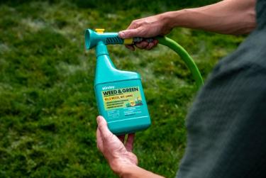 Weed & Green pre-emergent and broadcast weed killer for lawns