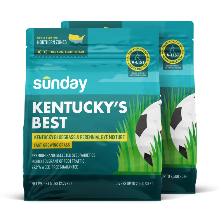 Bag of Sunday Kentucky's Best, a bluegrass grass seed blend