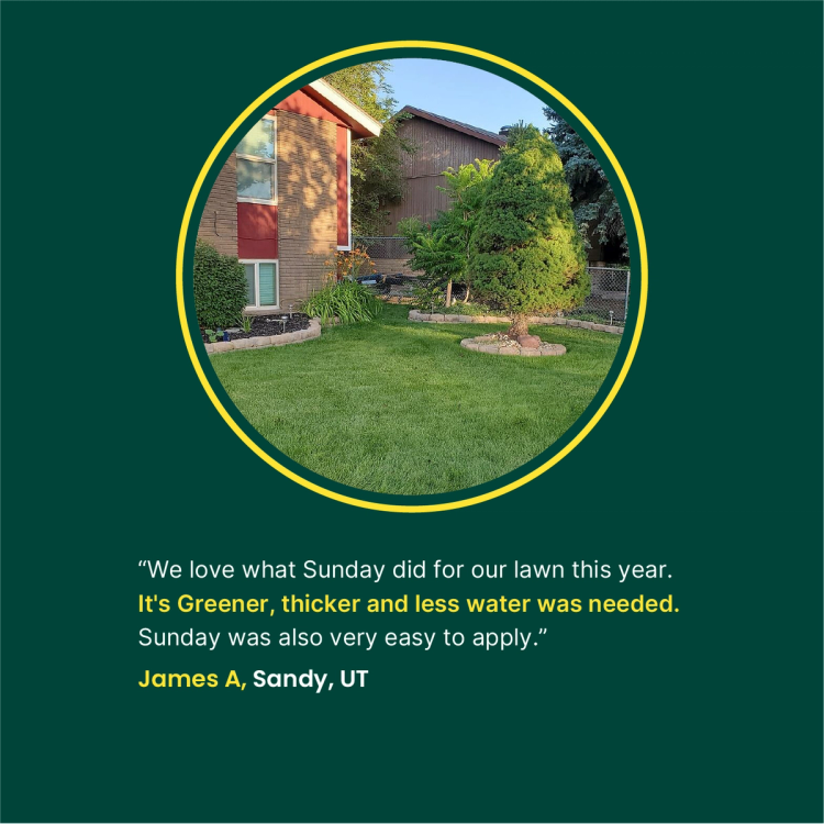 Bermuda Time Bermudagrass Grass Seed | Sunday Lawn Care
