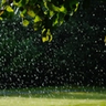 A sprinkler sprays water across green tree leaves and a backyard lawn.