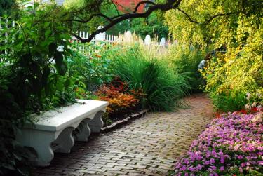 a beautiful Northeast garden