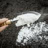 A gardener adding lime to soil