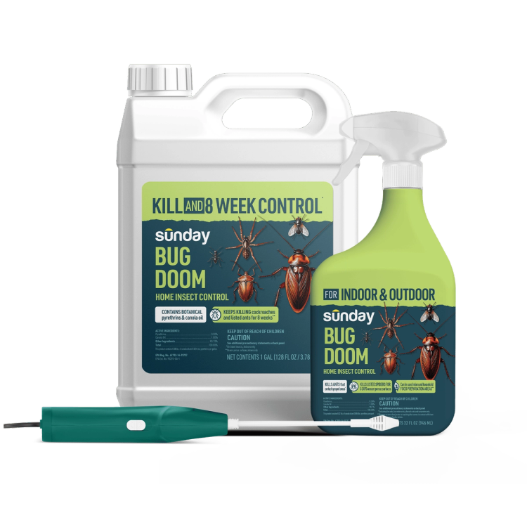Indoor & Outdoor Pest Kit includes: Bug Doom Indoor Insect Spray, Trigger Sprayer, Motorized Wand Sprayer, and Bug Doom Home Barrior Spray
