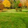 Fall lawn with fall trees and leaves
