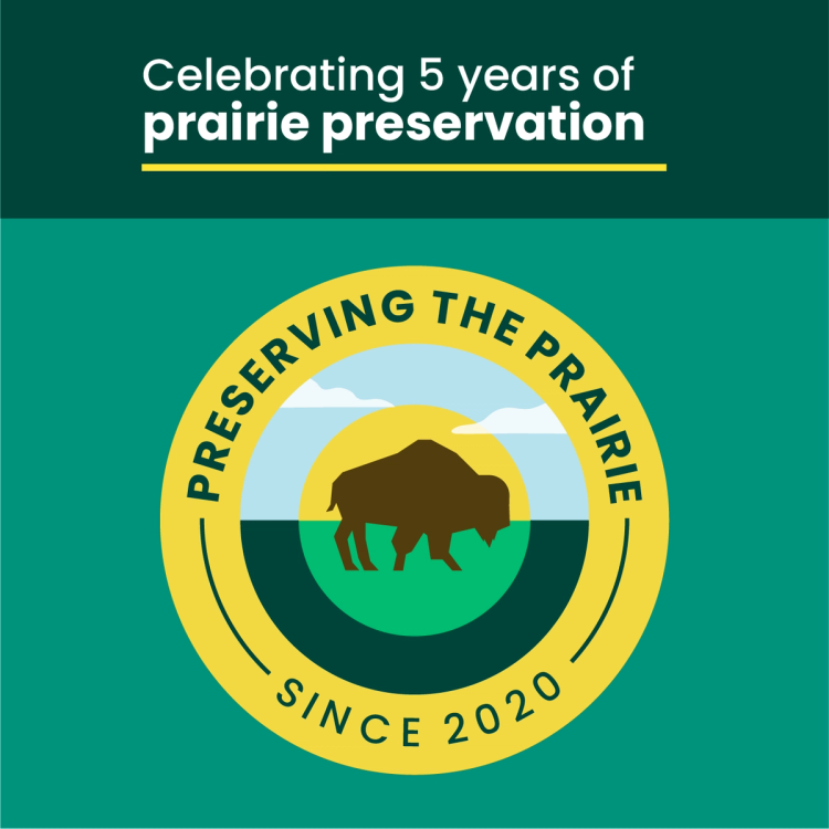 Bug Doom water conservation