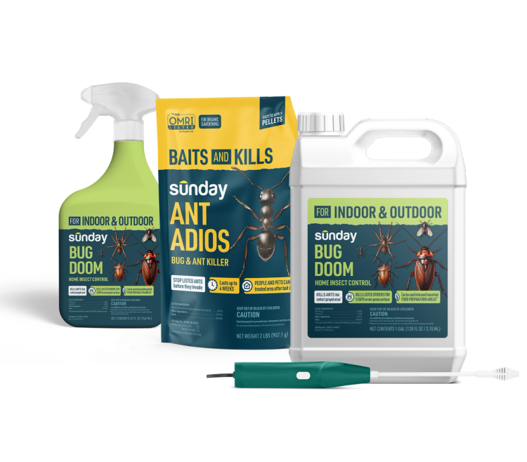 Bug doom (indoor & outdoor) and ant adios