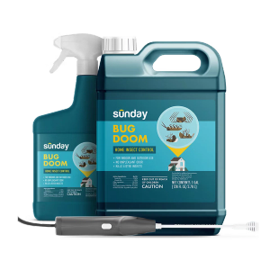 Bug Doom Insect Control Indoor & Outdoor
