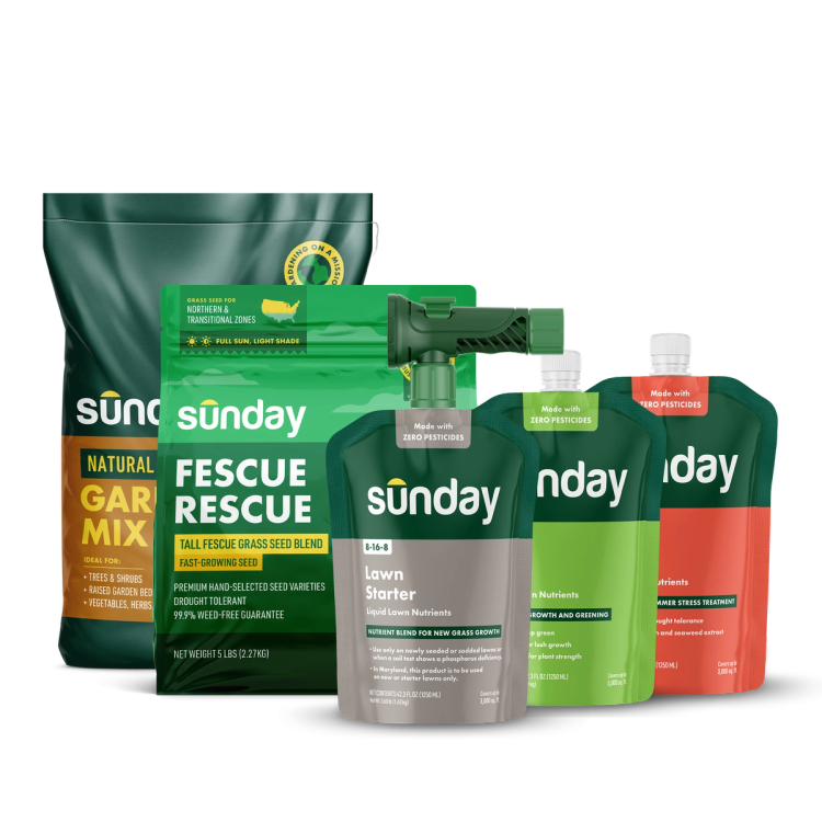 Start Your Lawn from Scratch Kit includes: Fescue Rescue Grass Seed, Lawn Starter, Lawn Kickstart, Natural Garden Soil Mix, Lawn Aid, and NEW Replacement Sprayer