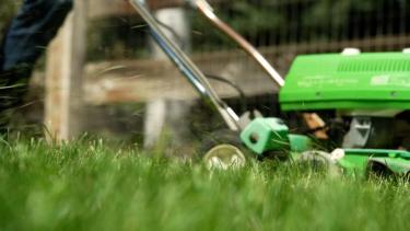 Mowing lawn at highest grass height