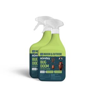 Bug Doom Indoor Insect Control Spray