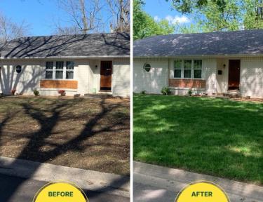 Sunday before and after of spring green up