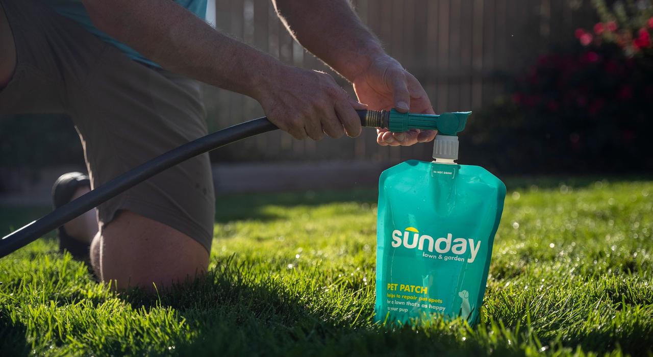 Connecting Sunday Pet Patch Lawn Treatment to hose on lawn