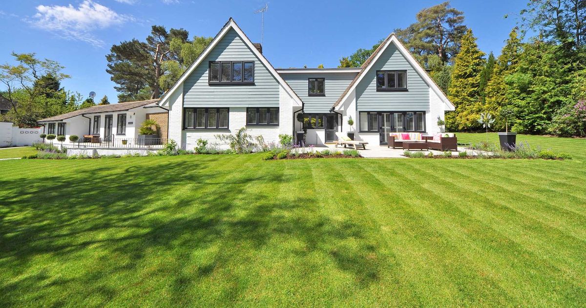 How to Mow a Lawn Expert Mowing Tips Sunday Lawn Care