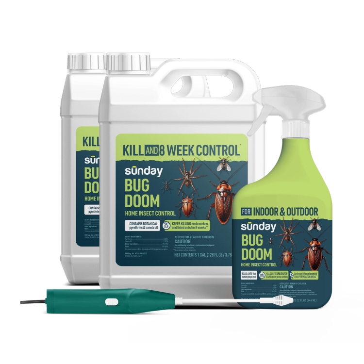 Bug Doom Insect Control Indoor & Outdoor