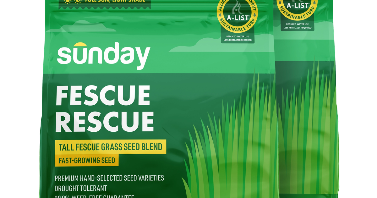 Fescue Rescue Grass Seed (2pack) Sunday Lawn Care