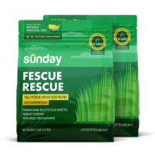 Fescue Rescue Grass Seed (2-pack)