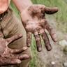 Hands dirty from yard work