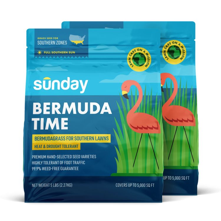 2 Bags of Sunday Bermuda grass seed blend