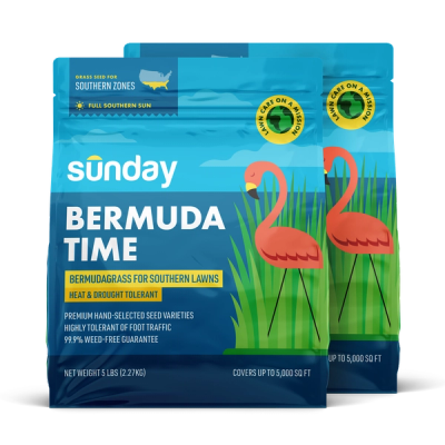 2 Bags of Sunday Bermuda grass seed blend