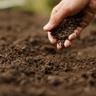hand holding soil