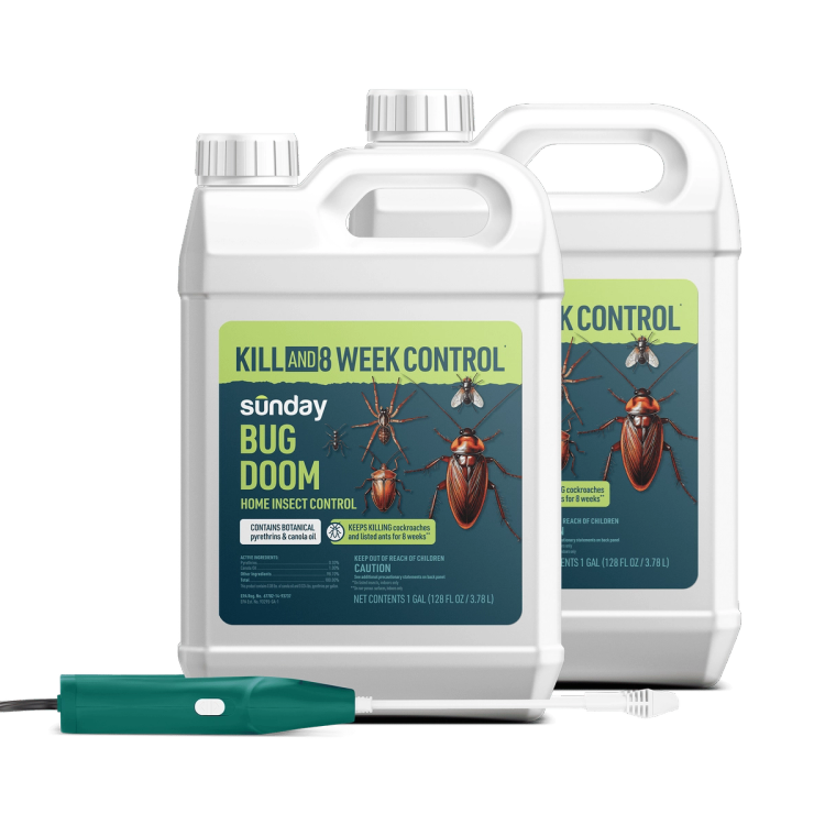 Bug Doom Home Insect Control 2 pack