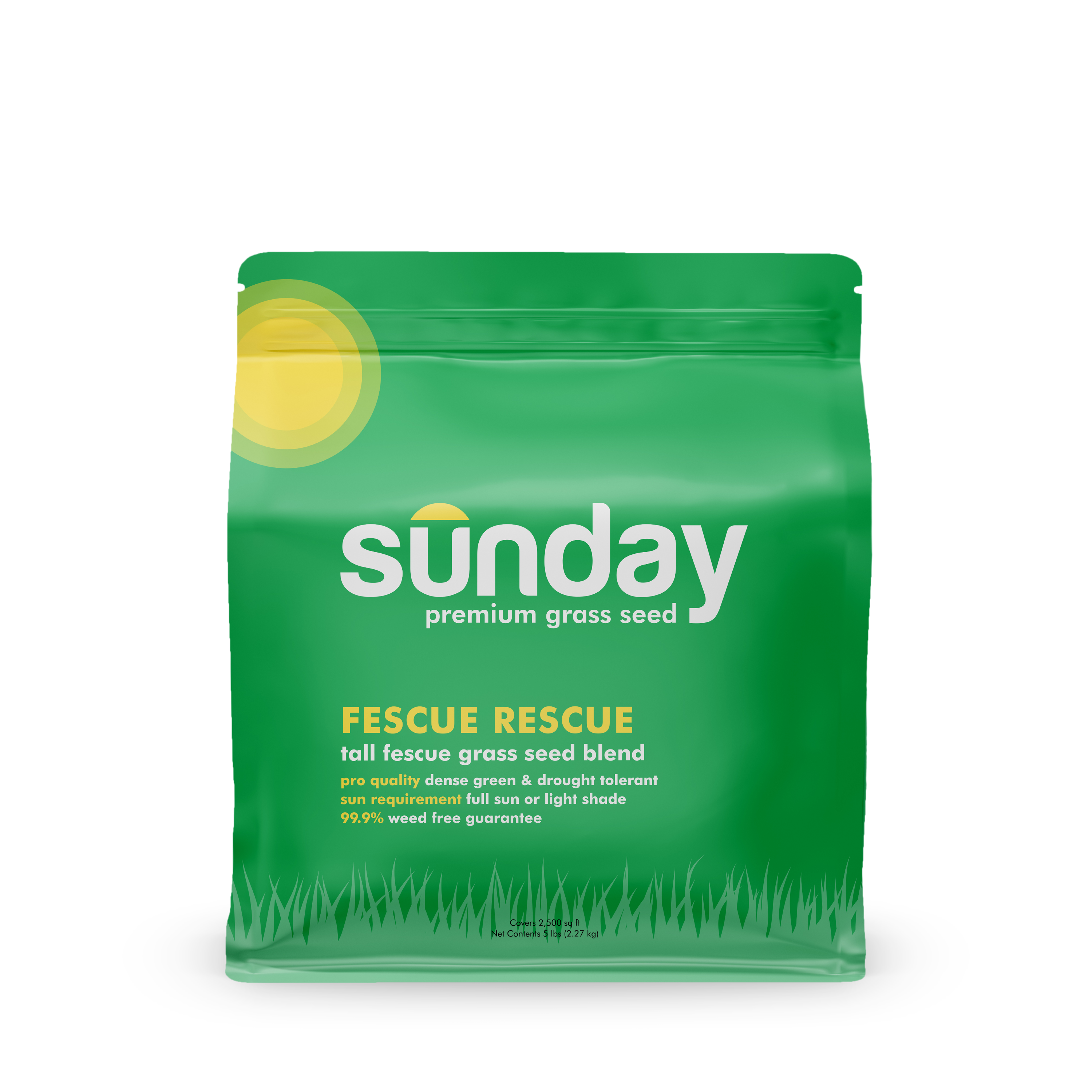 Best Grass Seed for New England Landscape Method