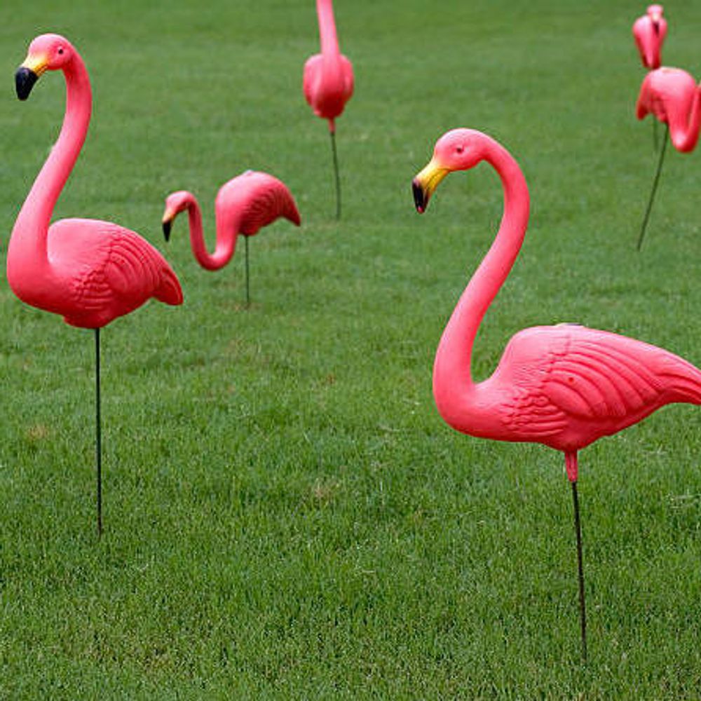 The Iconic Pink Flamingo