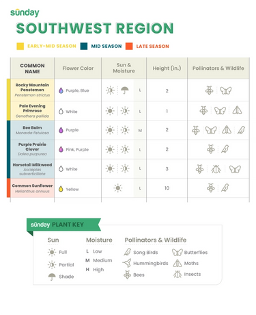 bird and pollinator friendly plant chart for the southwest