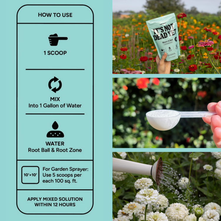 MitoGrow how to use infographic