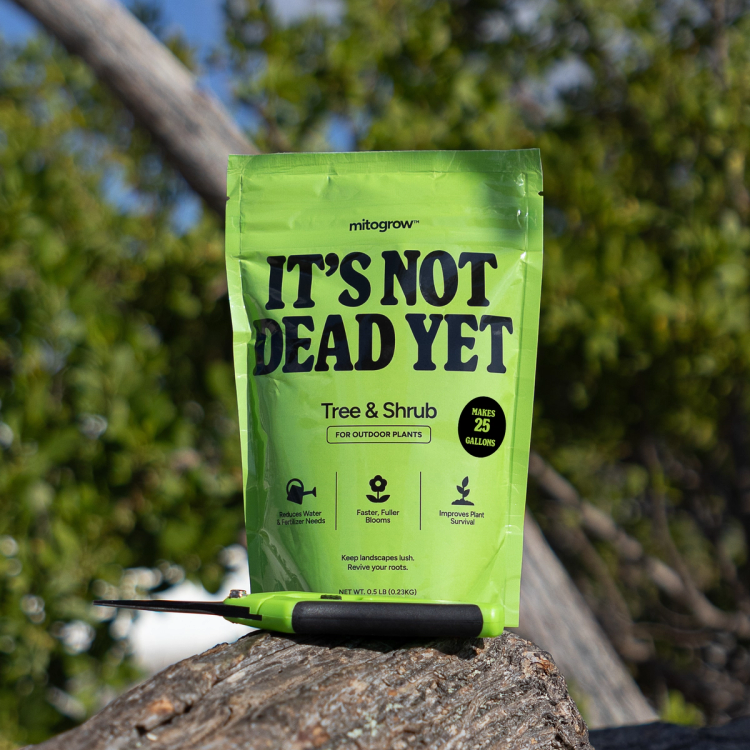 Mitogrow pouch and shears