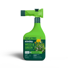 Weed & Green Pre-emergent and Post-Emergent Weed Killer