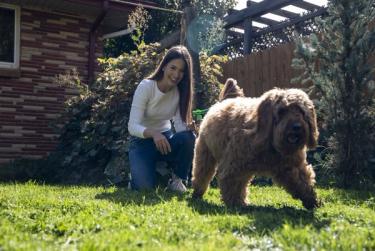 Healthy warm-season grass lawn maintained with Sunday pet-safe products for fall lawn care.