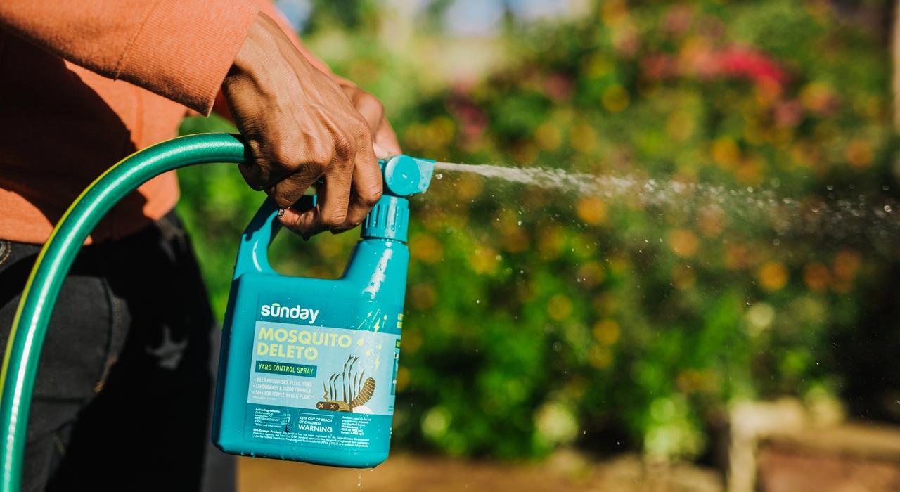 A Homeowner spraying Sunday Mosquito Deleto