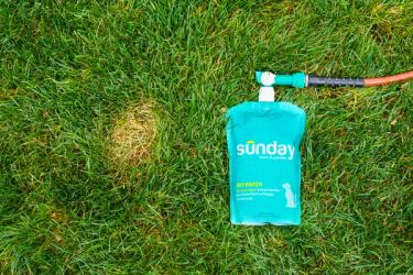 Pet Patch next to pet spot on lawn