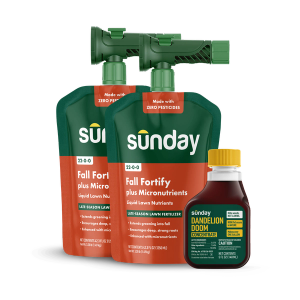 Fall to Winter Ready Lawn Kit includes: Dandelion Doom Herbicide Concentrate Refill, Sunday Herbicide Pouch, Motorized Wand Sprayer, Fall Fortify Plus Micronutrients, and NEW Replacement Sprayer