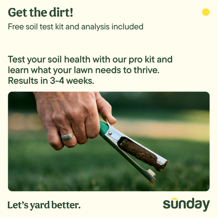 Free soil test included!