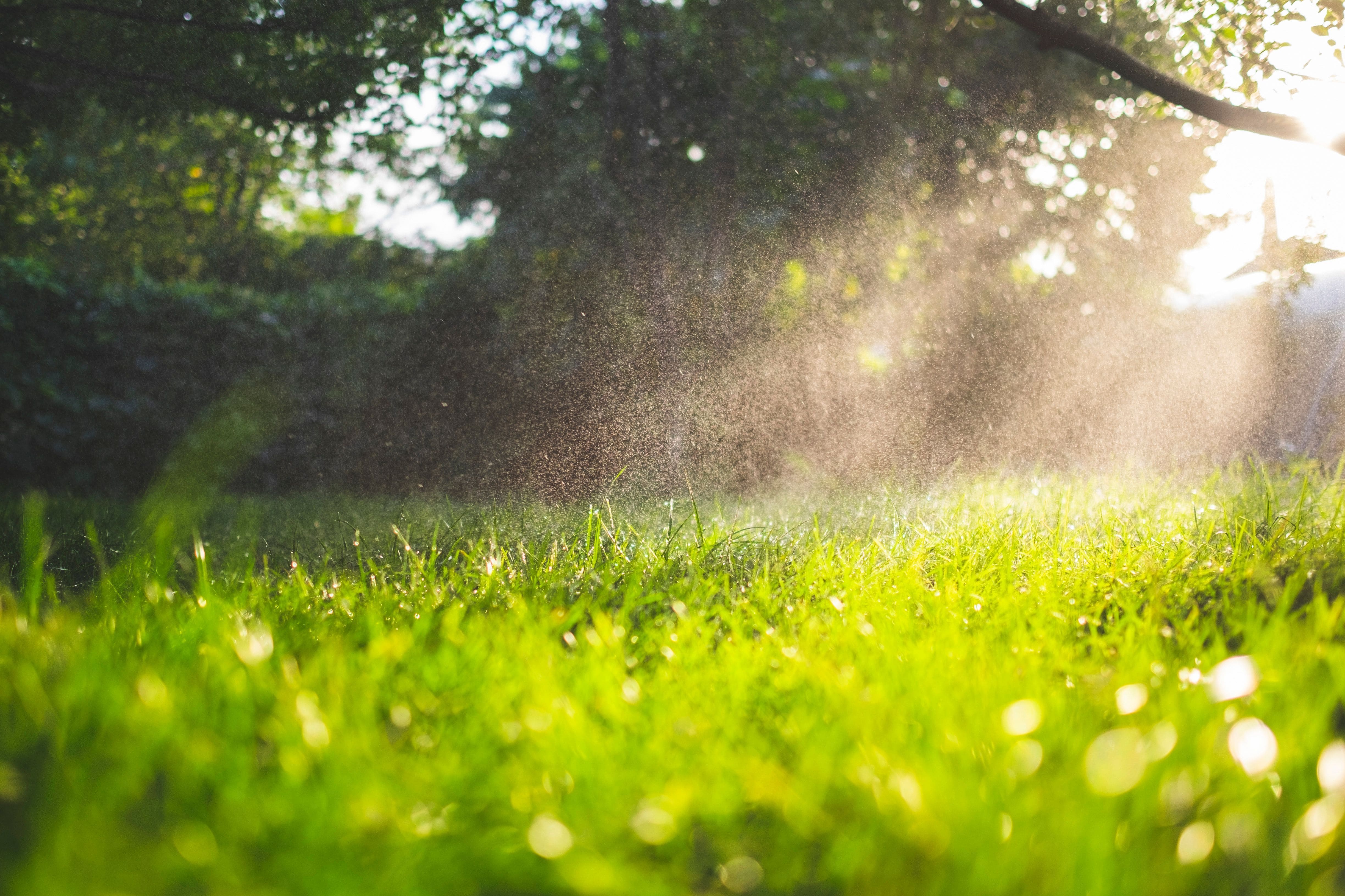Golden sunlight hitting a fine mist of water as it feeds a green spring lawn.